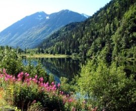 Alaska Cruise & Alaska Tour