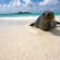 Galapagos Cruise ships