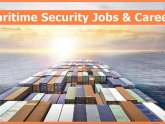 Cruise ship Security Jobs