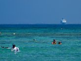 Last Minute Cruises Port Canaveral