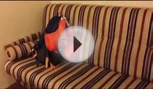 Disney Cruise Line | Wonder Inside Stateroom Review