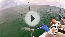 Last Minute Clutch Tarpon Tampa Bay